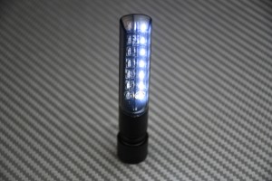 Intermitentes LED secuenciales 3 en 1 (intermitentes, freno y posición)