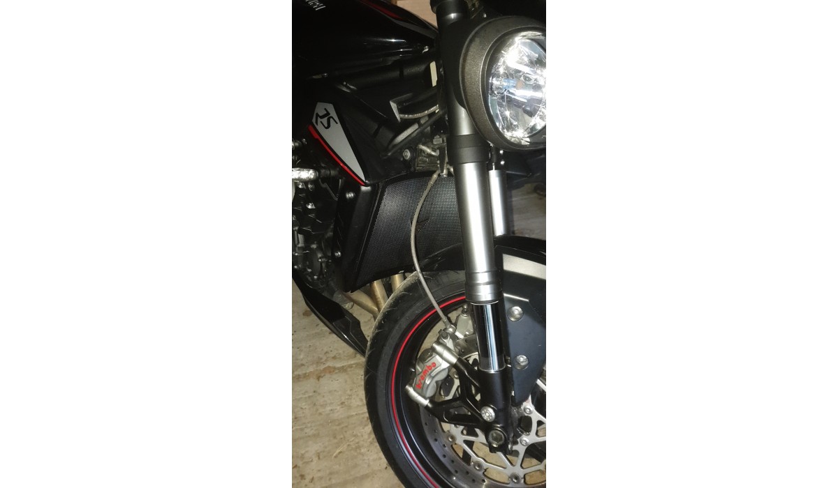Motorbike Radiator Guard Aluminum Protection Cover for T.riumph Street Triple 765 R//RS 2017-2019 Street Triple 765 S 2017-2019 Street Triple R//RS 2017-2019 Street Triple S 2017-2019