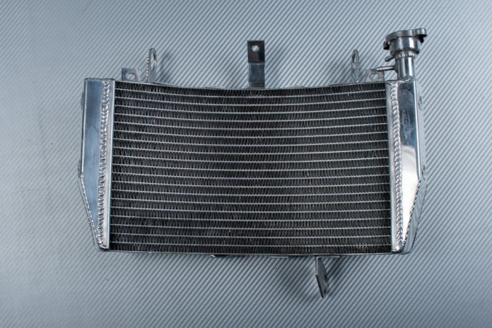 Radiator DUCATI MONSTER 821 / SUPERSPORT SS 939 2014 - 2024