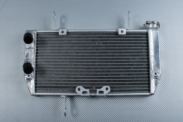Kühler DUCATI MULTISTRADA / MTS 1200 2010 - 2014