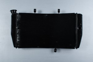 Radiatore HONDA CBR 900 / 929 RR 2000 - 2001
