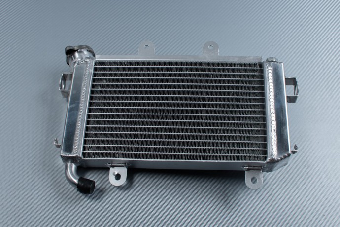 duke 200 radiator price