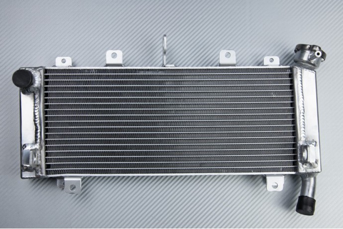 Radiatore KAWASAKI Z650 / NINJA 650 R 2017 - 2025