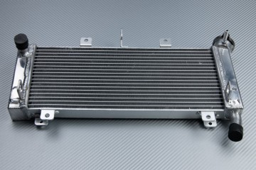 Radiatore KAWASAKI Z650 / NINJA 650 R 2017 - 2025