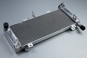 Kühler KAWASAKI Z650 / NINJA 650 R 2017 - 2025