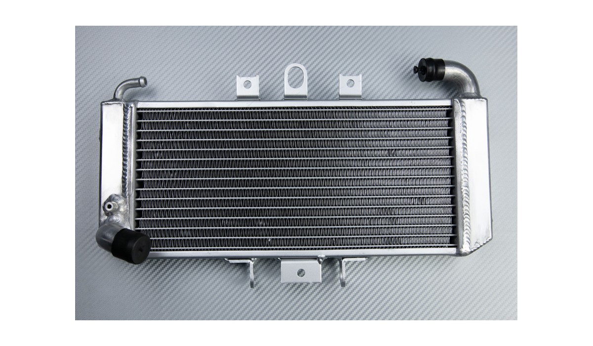Radiator YAMAHA FZS 600 / FAZER 600 1998 2003 AVDB MOTO L