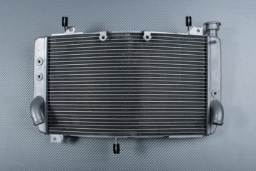 protezione per radiatore superiore e inferiore per Yamaha YZF-R1 R1M 2015-2017 Areyourshop