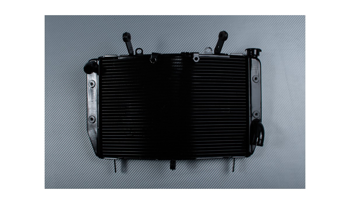 Radiator YAMAHA YZF R6 2006 2007 AVDB MOTO L'ACCESSOIRE À PRIX MOTARD