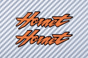 Sticker de adorno HORNET