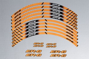 Stickers de llantas Racing KAWASAKI ER6