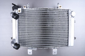 Radiador KTM DUKE 690 / R 2012 - 2019