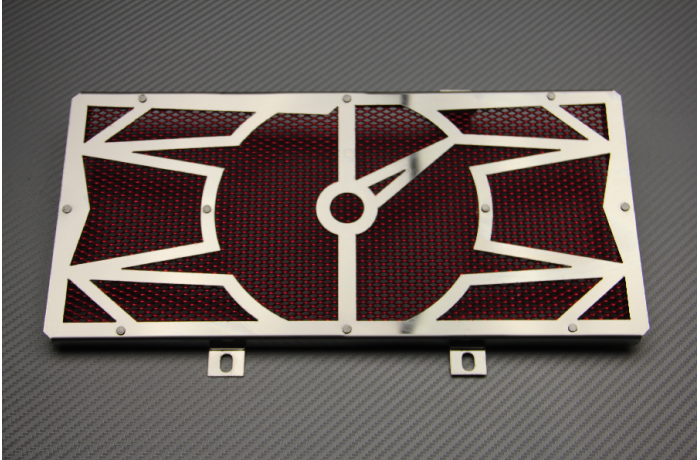 Kühlergrill- Abdeckung KAWASAKI ER6 N / F / VERSYS 650 2005 - 2016