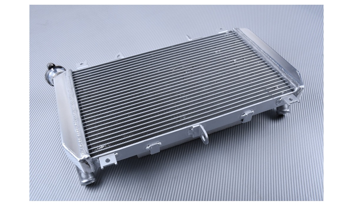 Kawasaki Z900 Rejilla Protectora Para Radiador De Moto 2017-2024