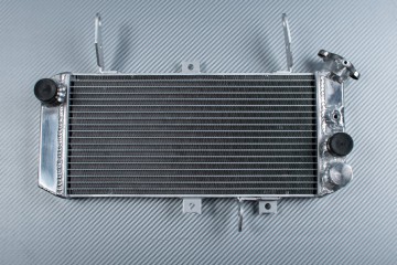 Radiatore SUZUKI SV 650 N / S 2005 - 2012