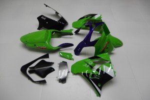 Komplette Motorradverkleidung KAWASAKI ZX9R 2000 - 2003