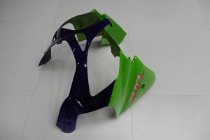 Carénage complet KAWASAKI ZX9R 2000 - 2003