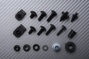 Kit de tornillos AVDB especifico para carenados KAWASAKI NINJA ZX9R 1998 - 1999