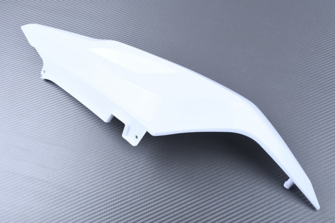 Heckverkleidung APRILIA RS 125 2006 - 2011