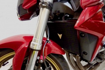 Kühlergrill- Abdeckung AVDB HONDA CB1000R 2008 - 2018 / CBF 1000 2010 / 2016