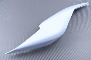 Heckverkleidung DUCATI PANIGALE 959 / 1299 2015 - 2019