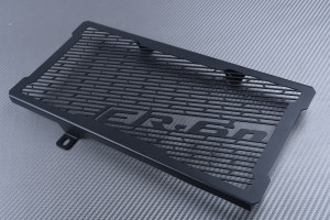 Rejilla protectora del radiador KAWASAKI ER6 N / F 2005 - 2016
