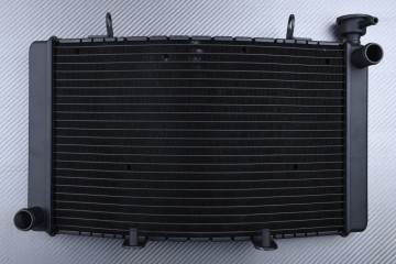 Radiator BENELLI TRE-K 899 2009 - 2014