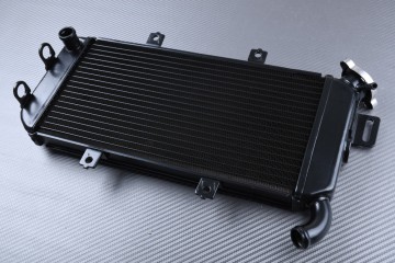 Radiator KAWASAKI ER6 N / F 2005 - 2008