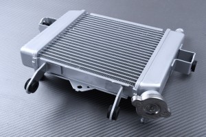 Radiator SUZUKI GSX-S 125 / GSXR 125 2017 - 2021