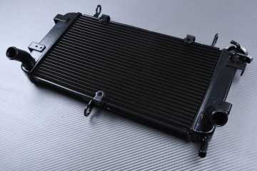 Radiador SUZUKI GSX-S 750 2017 - 2021