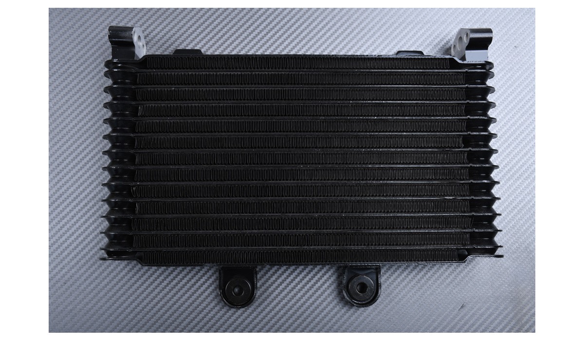 ♥ Avdb-moto Wasserkühler Kühler Kompatibel Mit SUZUKI GSF 1250 N/S