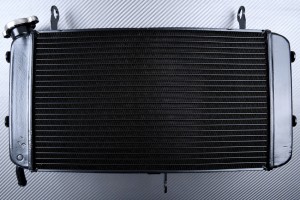 Radiador SUZUKI GSX-S 750 2017 - 2021