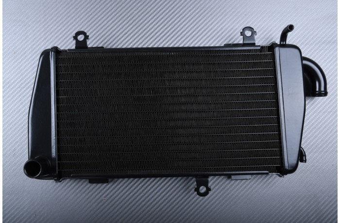 Radiators HONDA GOLDWING GL 1800 2001 - 2005