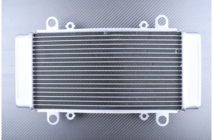Radiateur KAWASAKI NINJA 300R / Z300 2013 - 2018
