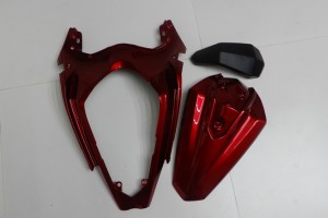 Komplette Motorradverkleidung KAWASAKI Z400 2019 - 2024