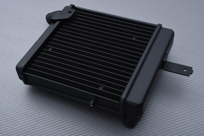 Radiators BENELLI TNT 899 / 1130 / R160 2004 - 2016