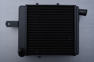 Radiators BENELLI TNT 899 / 1130 / R160 2004 - 2016