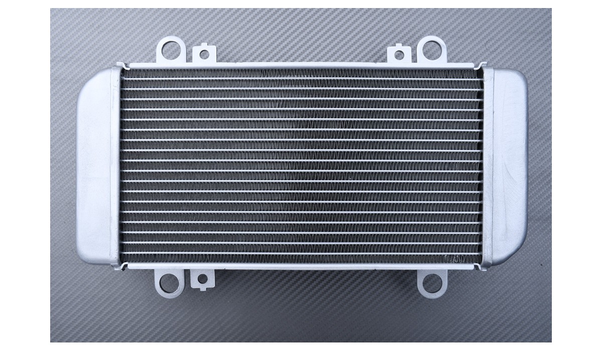radiator kawasaki ninja 150 rr