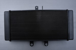 Radiator SUZUKI GSF 650 BANDIT S / N 2007 - 2016