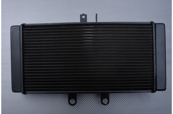 Radiator SUZUKI GSF 650 BANDIT S / N 2007 - 2016