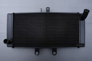 Radiator SUZUKI GSF 650 BANDIT S / N 2007 - 2016