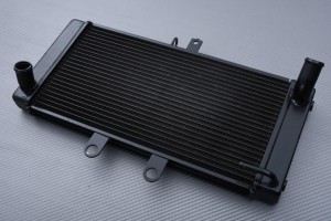 Radiator SUZUKI GSF 650 BANDIT S / N 2007 - 2016