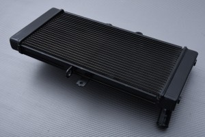 Radiator SUZUKI GSF 650 BANDIT S / N 2007 - 2016