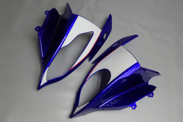 Komplette Motorradverkleidung BMW S1000RR 2015 - 2018