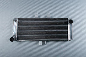 Radiateur SUZUKI GSXF 650 / BANDIT GSF 1250 N / S 2006 - 2016