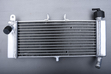 Radiator APRILIA TUONO / RS / RS4 50 / 125 / DERBI GPR 50 2009 - 2025