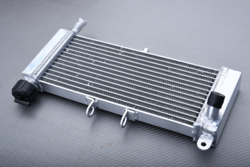 Radiateur APRILIA TUONO / RS / RS4 50 / 125 / DERBI GPR 50 2009 - 2025