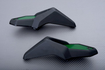 Protecciones carteres motor KAWASAKI Z900RS / SE 2018 - 2024