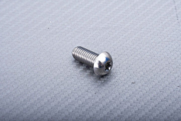 Titanium Screw for Front Brake Disc specific for BMW M8 X P1.25 X 20 MM