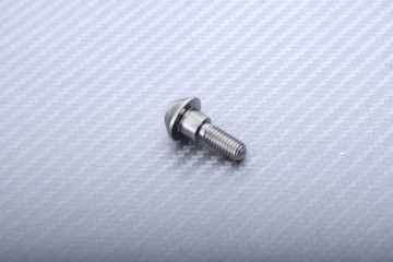 Titanium Screw for Rear Brake Disc specific for YAMAHA M6 X P1.00 X 20 MM