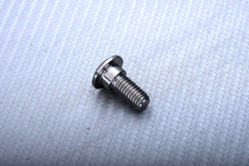 Titanium Screw for Rear Brake Disc specific for YAMAHA M8 X P1.25 X 20 MM